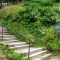 Steps up to Marksburg castle and other attractions